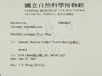 登錄號:F0028637藏品圖，第2張