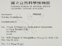 登錄號:F0028638藏品圖，第2張