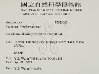 登錄號:F0028640藏品圖，第2張
