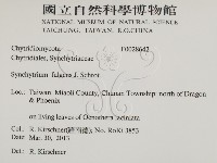 登錄號:F0028642藏品圖，第2張