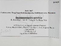 登錄號:F0028643藏品圖，第3張