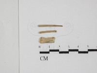 登錄號:F0028643藏品圖，第1張