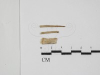 登錄號:F0028643藏品圖，第4張