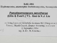 登錄號:F0028644藏品圖，第3張