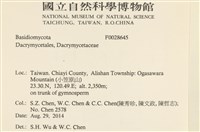 登錄號:F0028645藏品圖，第2張