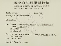 登錄號:F0028648藏品圖，第2張