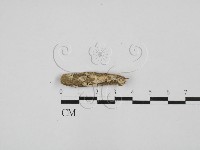 登錄號:F0028648藏品圖，第1張