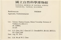登錄號:F0028649藏品圖，第2張