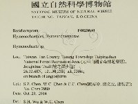 刺革菌屬藏品圖，第2張