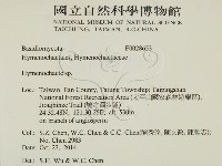 刺革菌屬藏品圖，第2張