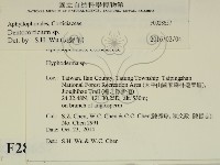 登錄號:F0028657藏品圖，第2張