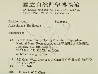 登錄號:F0028658藏品圖，第2張