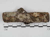 登錄號:F0028658藏品圖，第1張