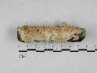登錄號:F0028660藏品圖，第1張