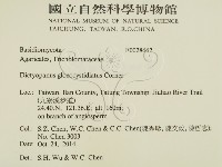 登錄號:F0028662藏品圖，第2張