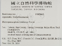 登錄號:F0028663藏品圖，第2張