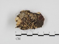 登錄號:F0028663藏品圖，第1張