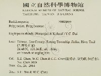 登錄號:F0028666藏品圖，第2張