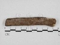 登錄號:F0028670藏品圖，第1張