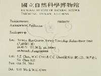 登錄號:F0028676藏品圖，第2張