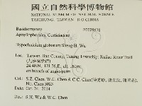 登錄號:F0028678藏品圖，第2張