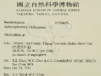 登錄號:F0028679藏品圖，第2張