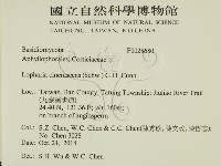 登錄號:F0028680藏品圖，第2張