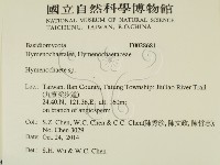 刺革菌屬藏品圖，第2張