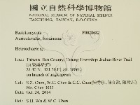 刺皮菌屬藏品圖，第2張