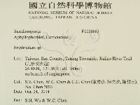 登錄號:F0028683藏品圖，第2張