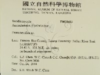登錄號:F0028685藏品圖，第2張
