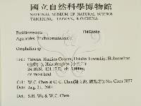 登錄號:F0028686藏品圖，第2張