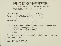 齒菌屬藏品圖，第2張