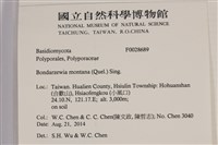 登錄號:F0028689藏品圖，第2張