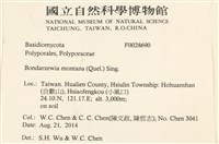 登錄號:F0028690藏品圖，第2張