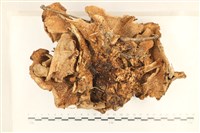 登錄號:F0028690藏品圖，第3張