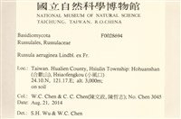 登錄號:F0028694藏品圖，第2張