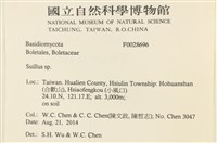 登錄號:F0028696藏品圖，第2張