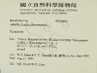 登錄號:F0028699藏品圖，第2張
