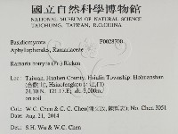 登錄號:F0028700藏品圖，第2張
