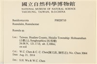 紅菇屬藏品圖，第2張
