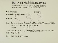 登錄號:F0028714藏品圖，第2張