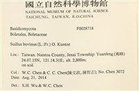 登錄號:F0028718藏品圖，第2張