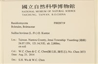 登錄號:F0028719藏品圖，第2張
