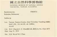 登錄號:F0028721藏品圖，第2張