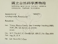 登錄號:F0028722藏品圖，第2張