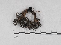 登錄號:F0028722藏品圖，第1張