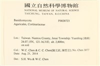 登錄號:F0028723藏品圖，第2張