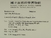 登錄號:F0028730藏品圖，第2張
