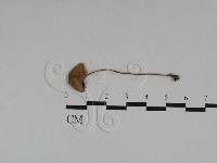 登錄號:F0028730藏品圖，第1張